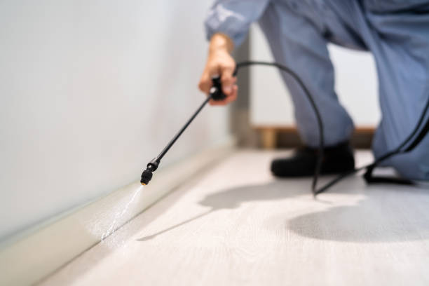 Certified termite inspector examining foundation in Green